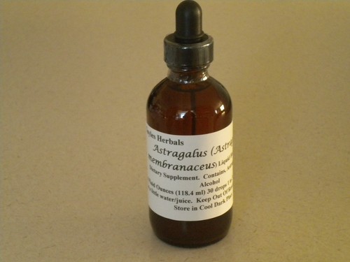 Astragalus root tincture - astragalus,